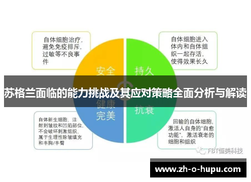 苏格兰面临的能力挑战及其应对策略全面分析与解读