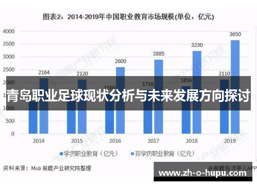 青岛职业足球现状分析与未来发展方向探讨